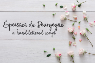 PN Époisses De Bourgogne Typeface for Web Design